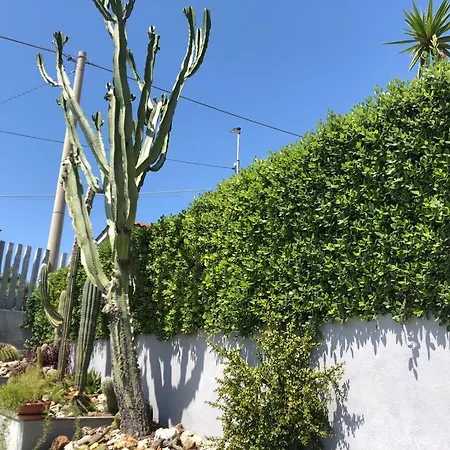 L'ulivo Apartment Brancaleone Marina