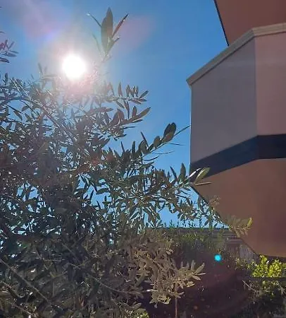דירה L'ulivo ברנקאלאונה מרינה