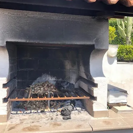 L'ulivo *