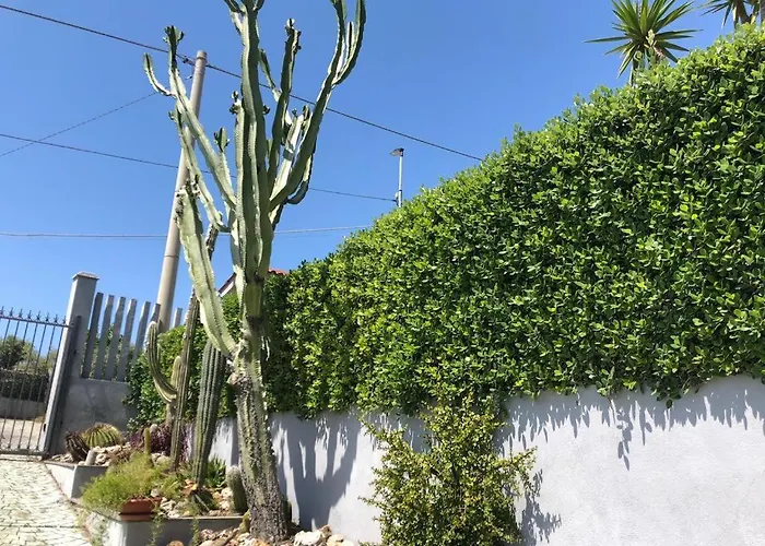 L'ulivo Lägenhet Brancaleone Marina