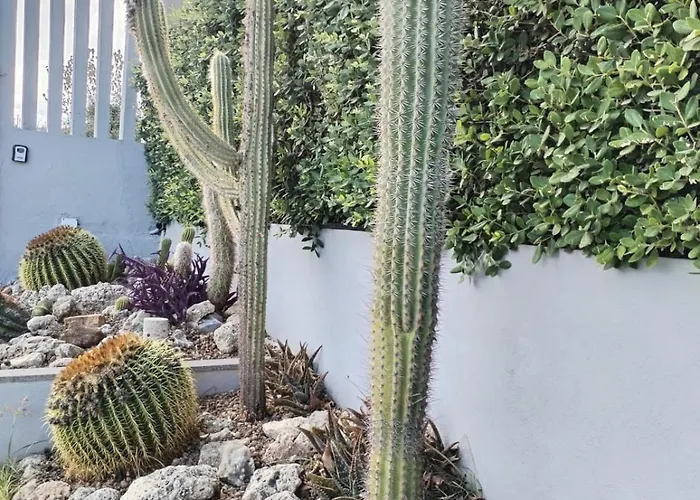 L'ulivo Brancaleone Marina